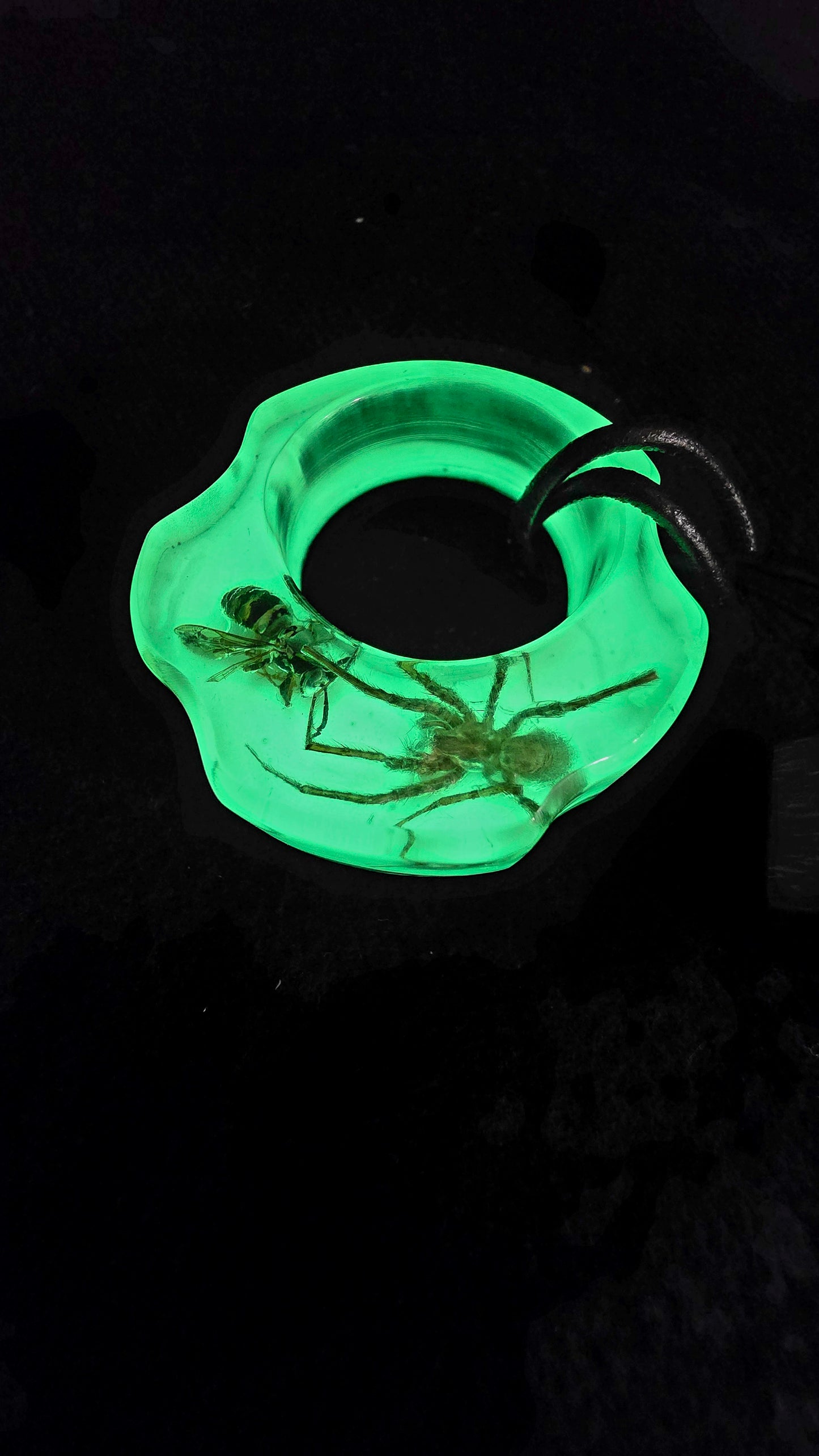 Mushpit Wespe und Spinne