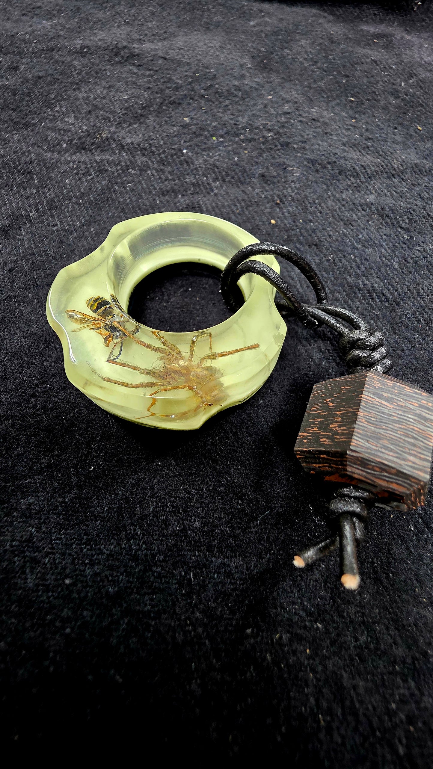 Mushpit Wespe und Spinne